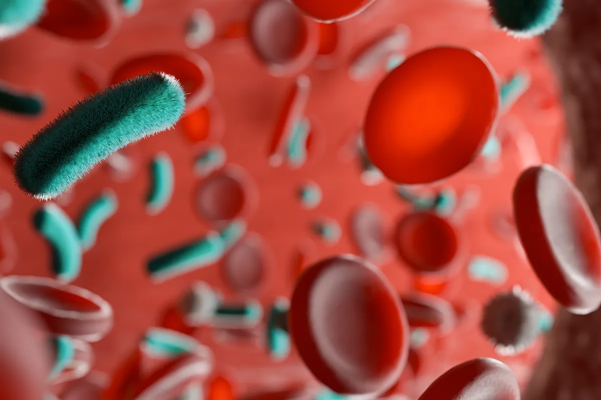 Septicemia. Qué, los síntomas y los grupos de edad tienen más probabilidades de sufrir esta afección.