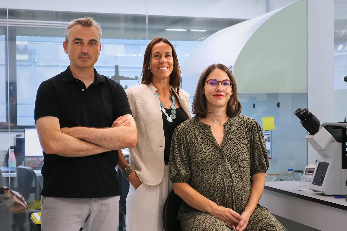 Primero registran el proceso de implementación embrionaria humana en tiempo real