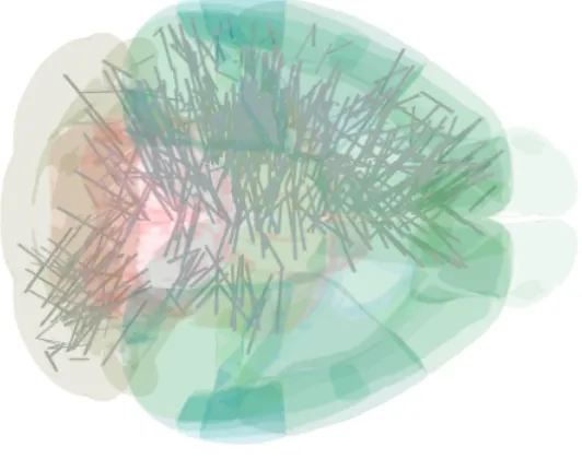 El primer mapa detallado de la actividad cerebral en ratones