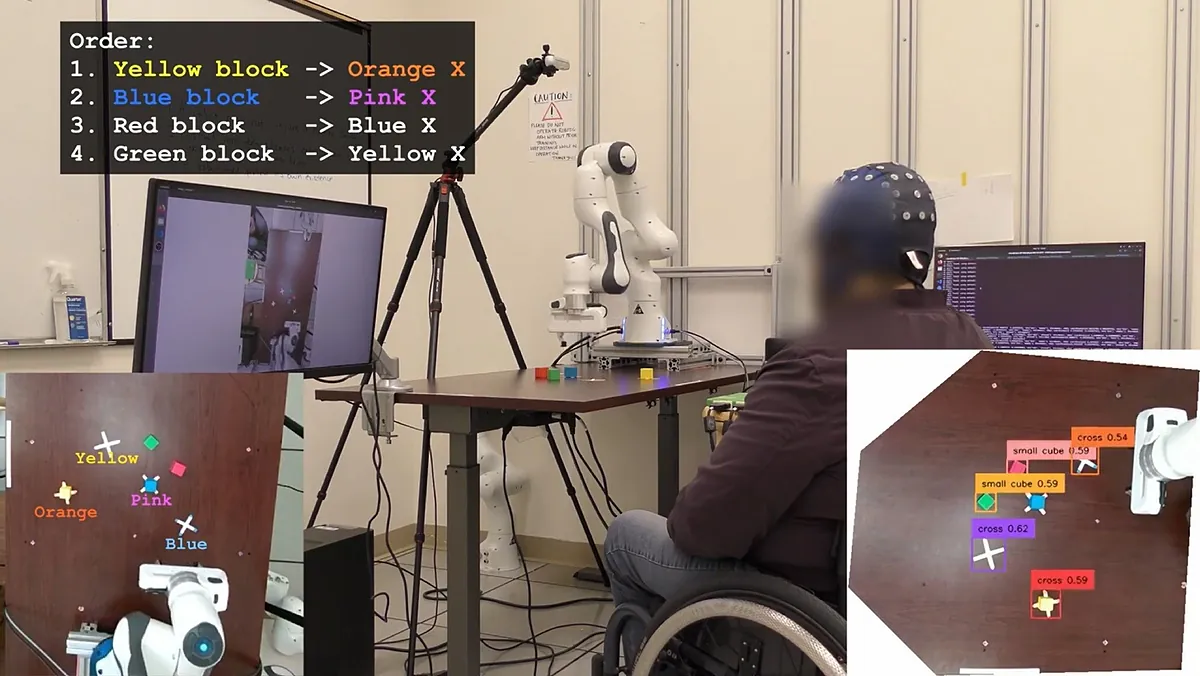 El sistema de computación cerebral mejora hasta cuatro veces su capacidad debido a la IA