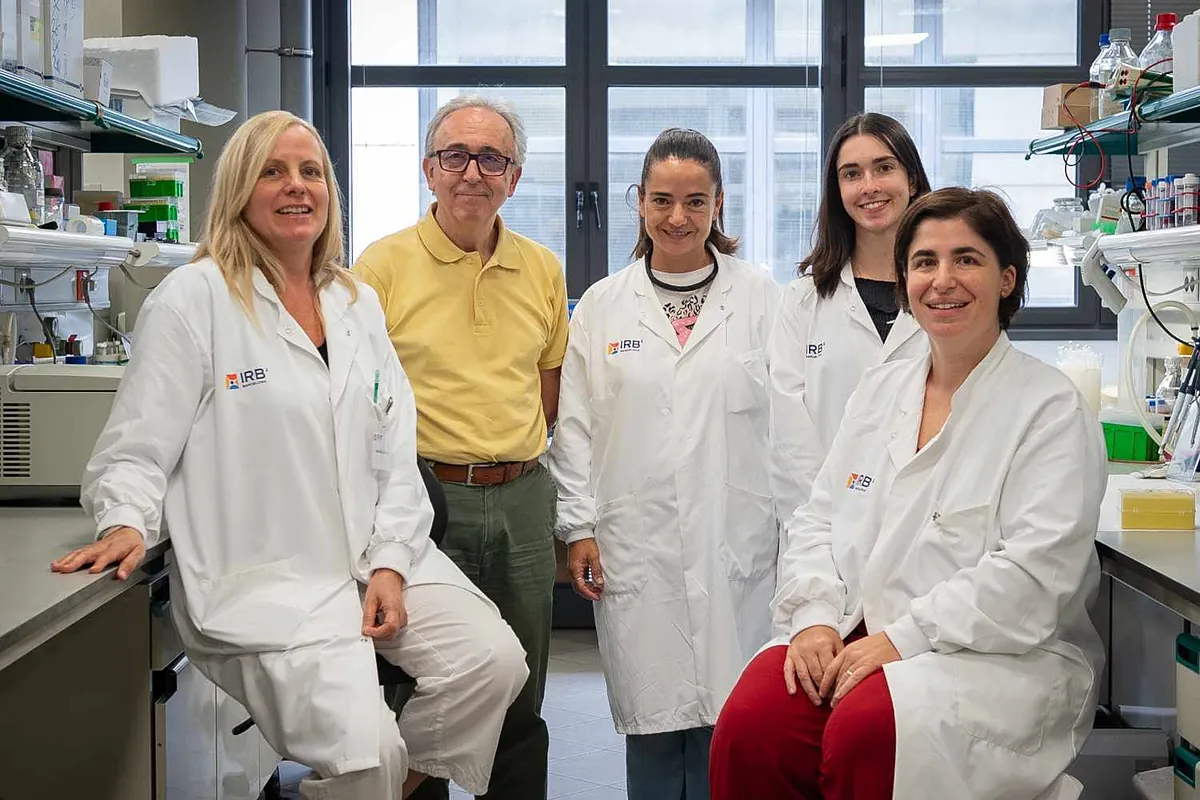 Los investigadores españoles revelan una nueva estrategia para combatir la obesidad activando la grasa marrón