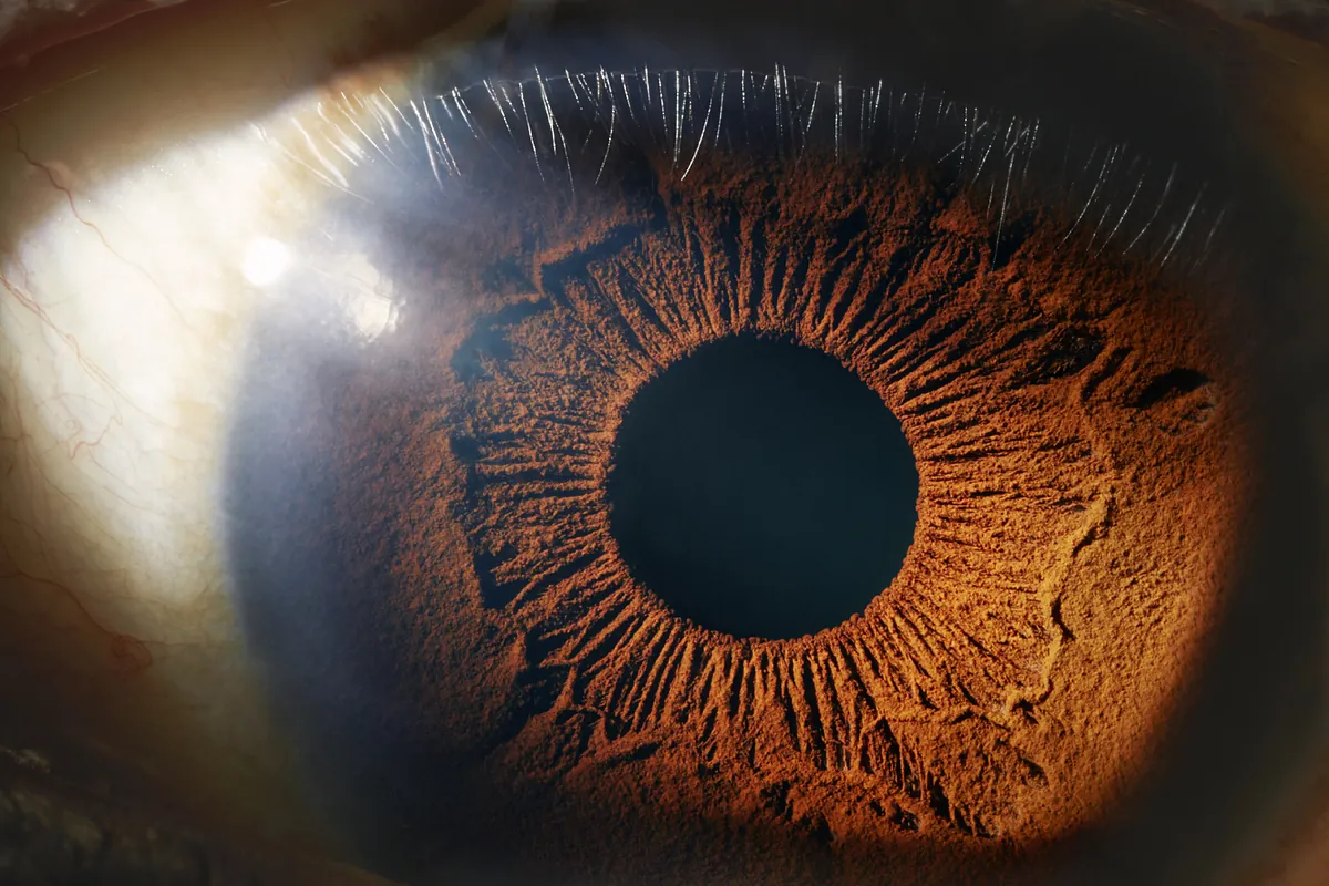 Los ojos esconden hilos desde el comienzo de las enfermedades sistémicas y tumorales