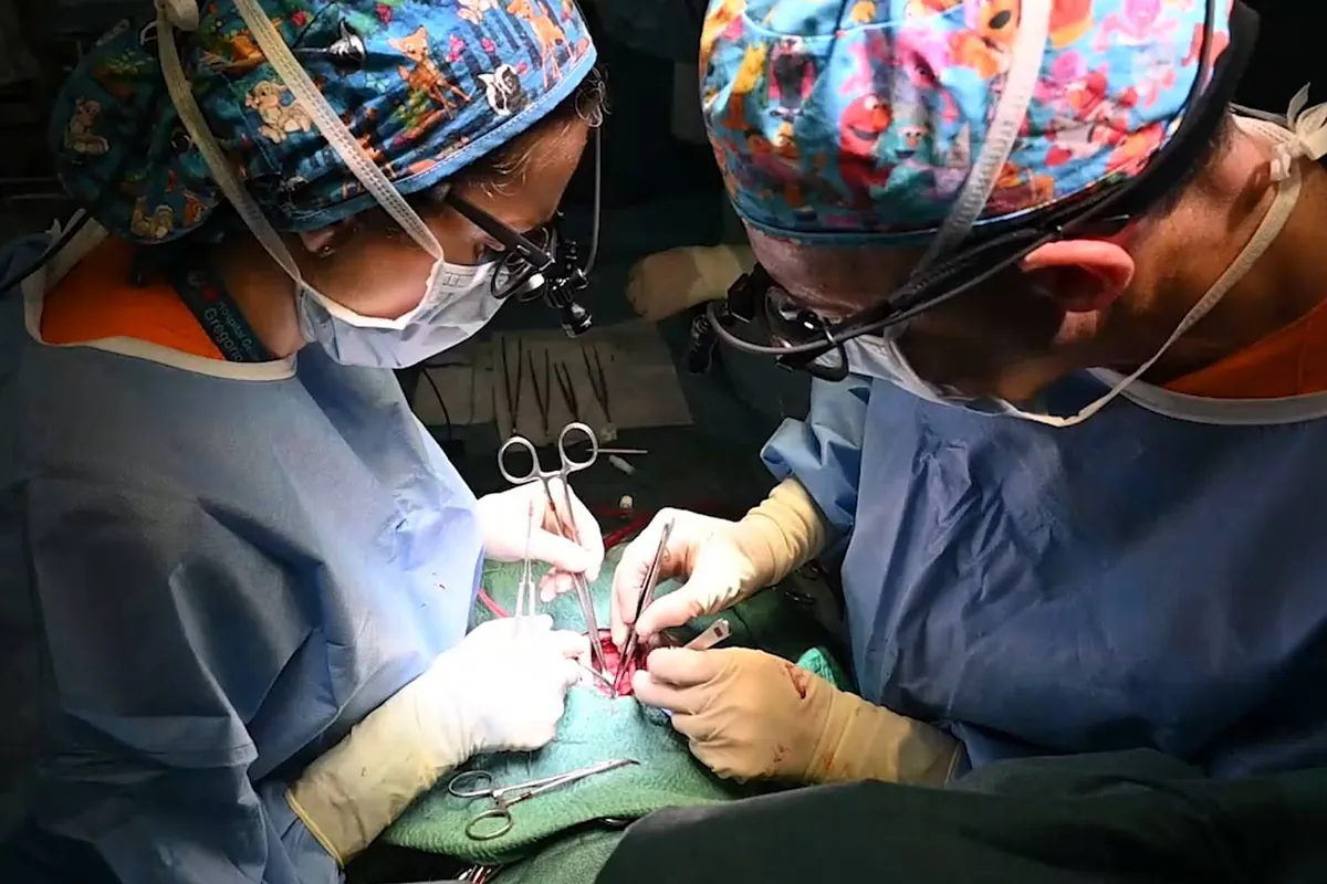 El hospital Gregorio Maraño de Madrid realizó el primer trasplante parcial de corazón en España a un bebé de siete meses.