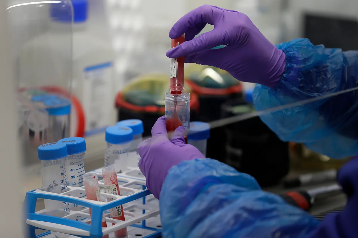 Un análisis de sangre menstrual puede detectar el virus del papiloma