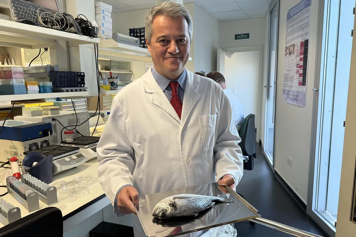 Del mercado de Granada a tu ojo. Desarrollan una córnea bioartificial a base de escamas de carpa