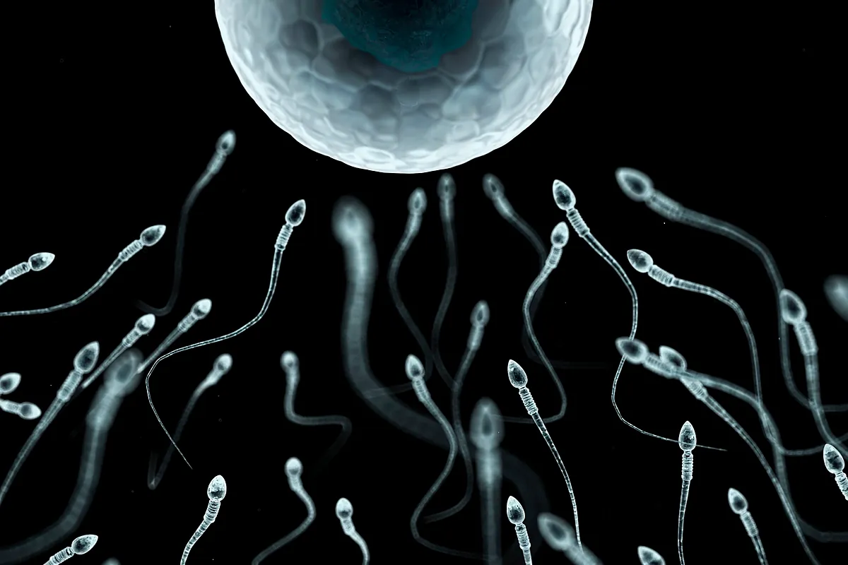 La ciencia recomienda eyacular diariamente para evitar daños genéticos en los espermatozoides