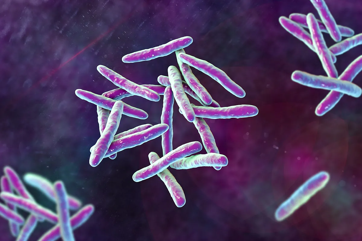 Sanidad alerta del aumento del 8,3 por ciento de la tuberculosis en España