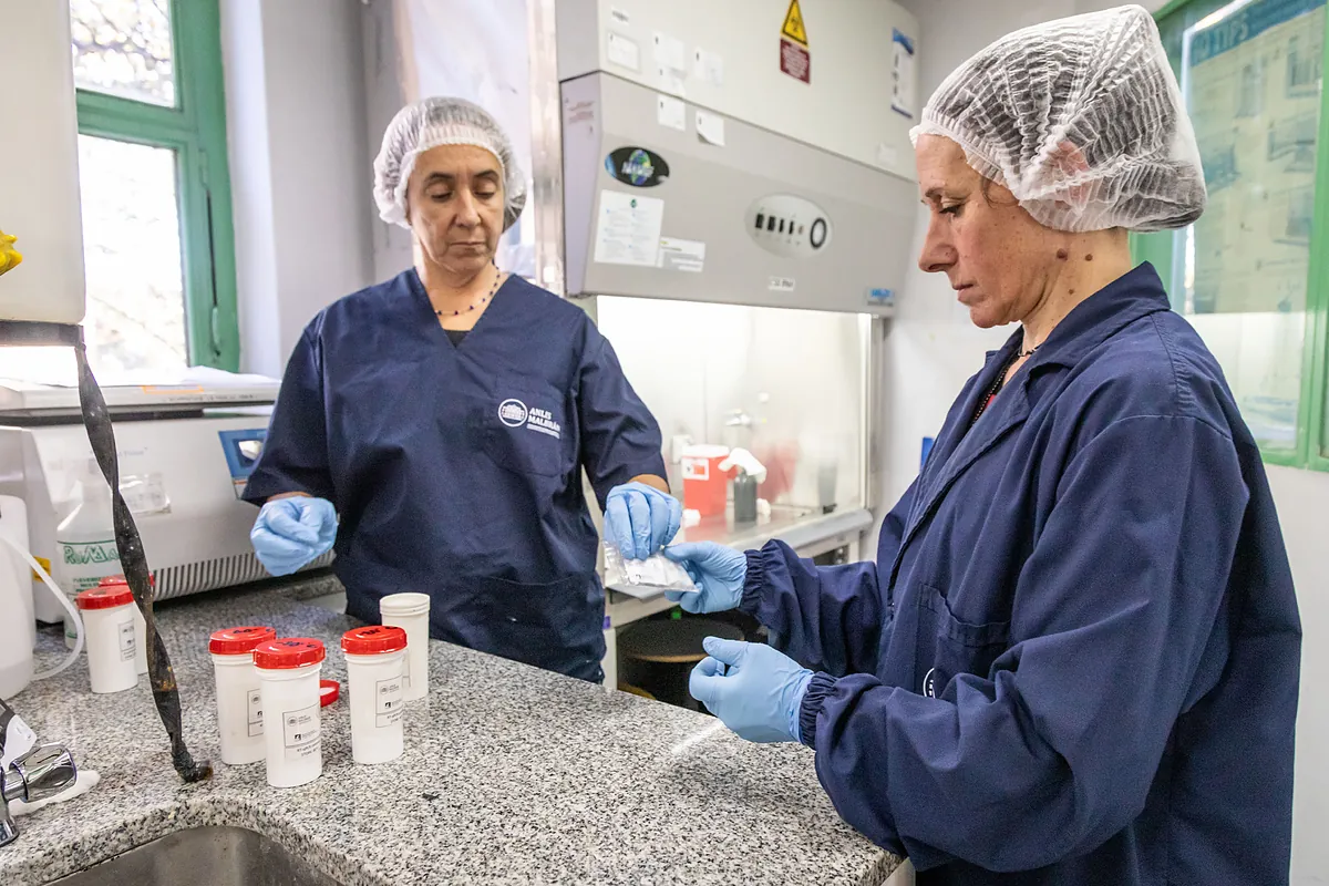 Agentes antivirales y vacunas. estos son proyectos de hantavirus en desarrollo
