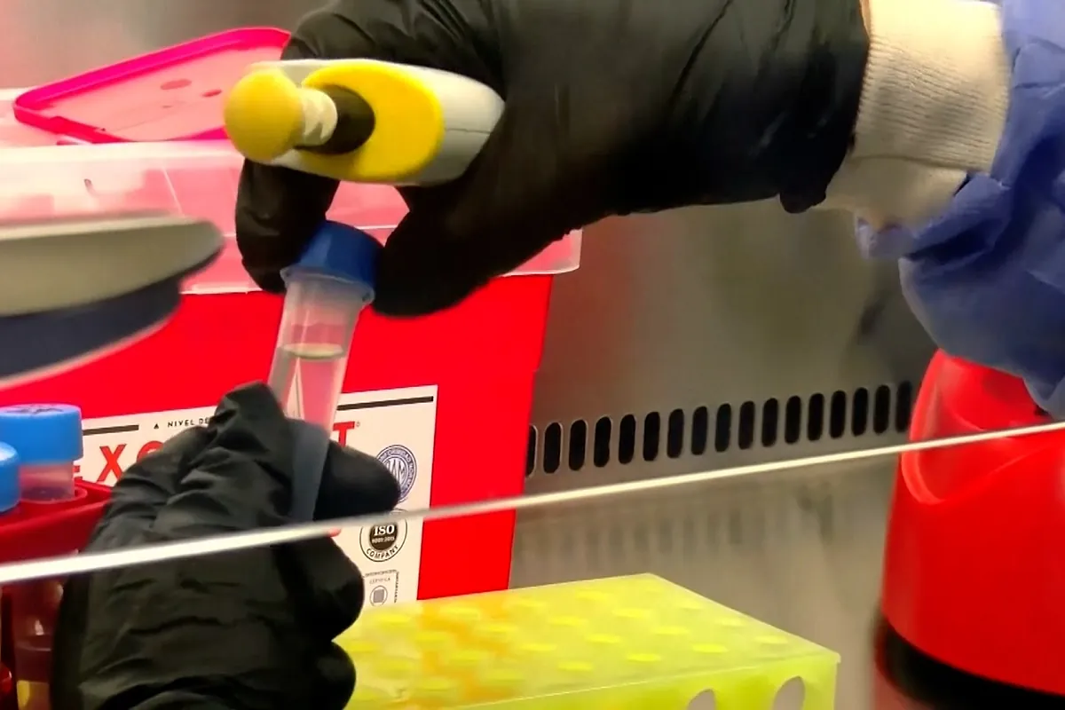 Los peligros del hantavirus andino. "Es la única cepa en el mundo que se transmite entre humanos."