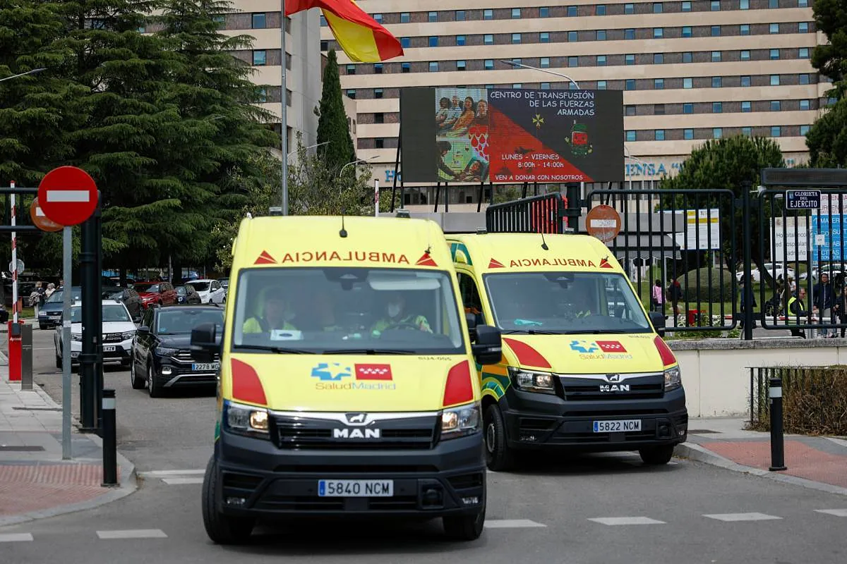 OMS confirma que ocho casos de brote de Hantavirus son por cepa andina