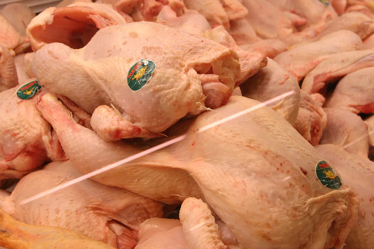 ¿Cómo saber si el pollo está realmente fresco? qué comprobar (y errores que evitar) para prevenir la contaminación