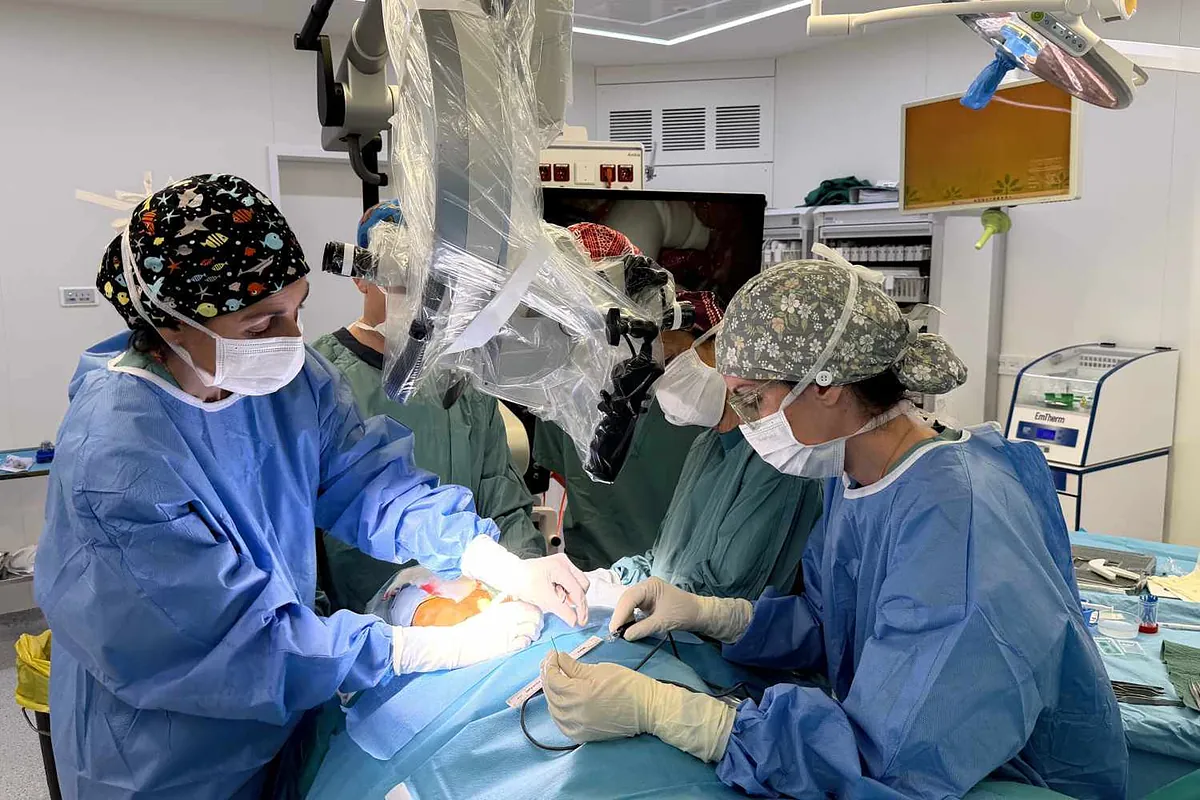 Bisturí versus Alzheimer. El Hospital Trias de Alemania estudia técnicas quirúrgicas "revolucionario" ante los primeros signos de la enfermedad