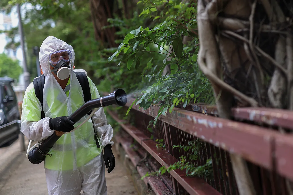 España ya es vulnerable "a brotes locales" Por expansión del mosquito tigre Chikungunya