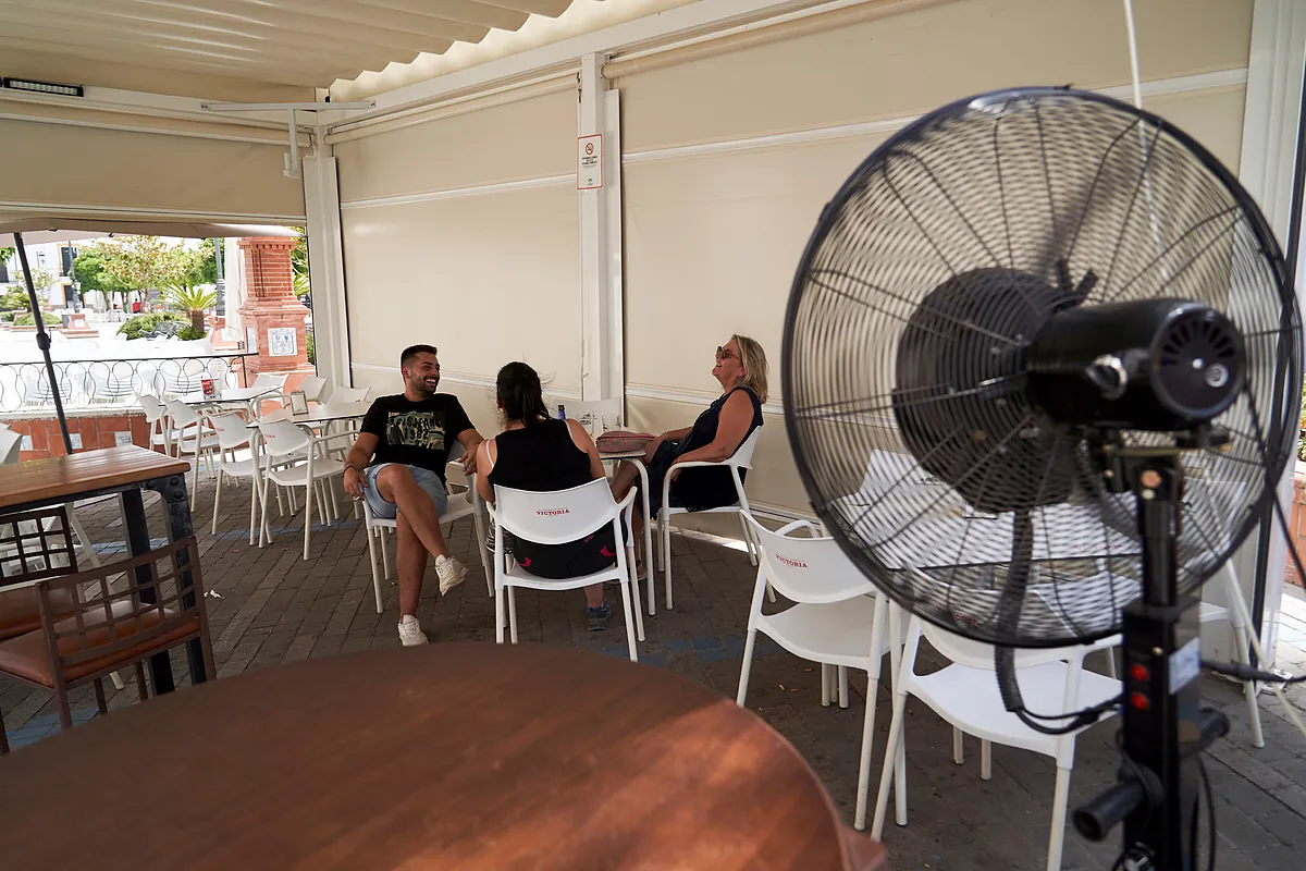 Los 5 mejores trucos para proteger tu cerebro del calor extremo (y sí, el chocolate es uno de ellos)