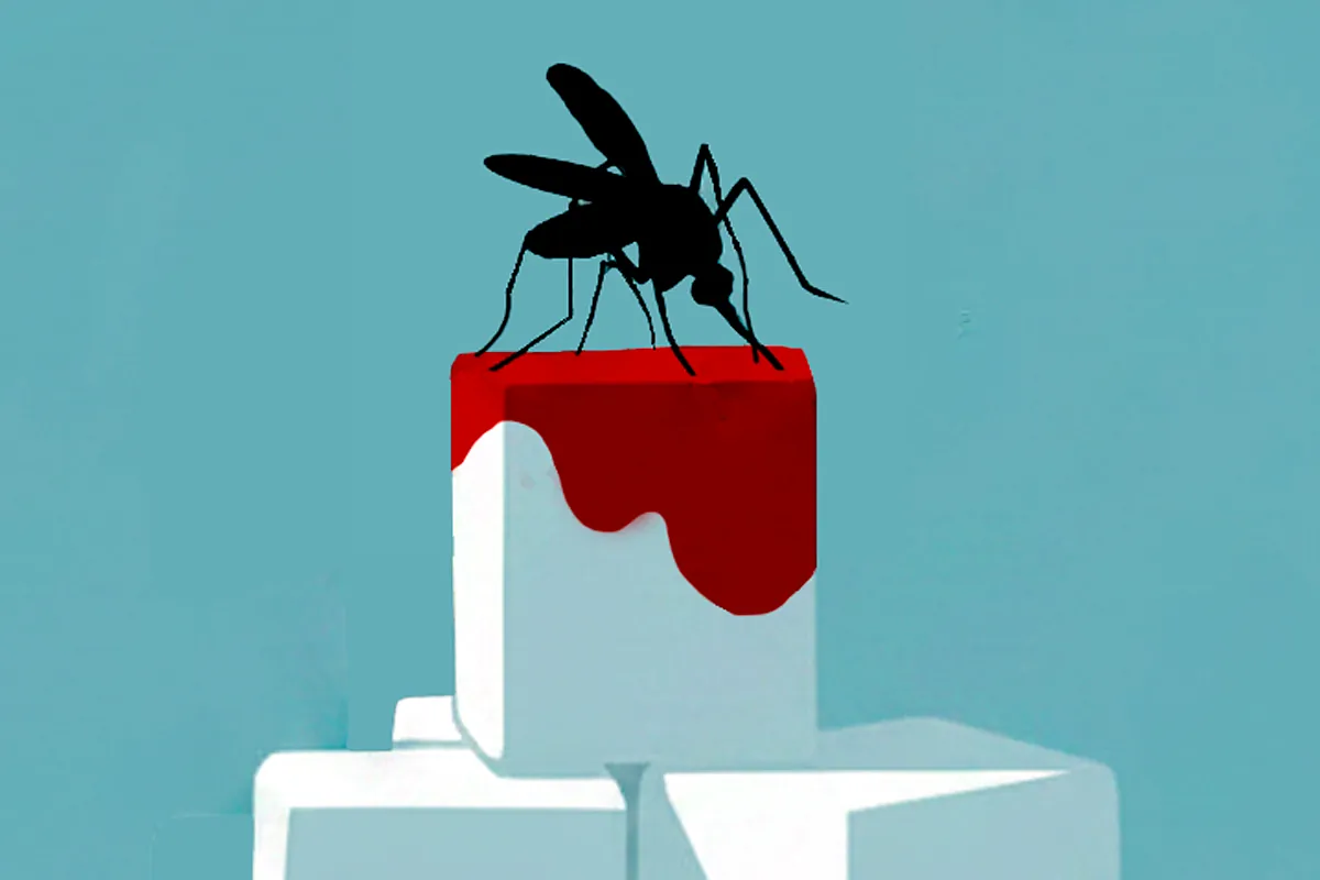 "Los mosquitos sólo pican si tienes sangre dulce" y otros mitos y realidades sobre estos insectos.